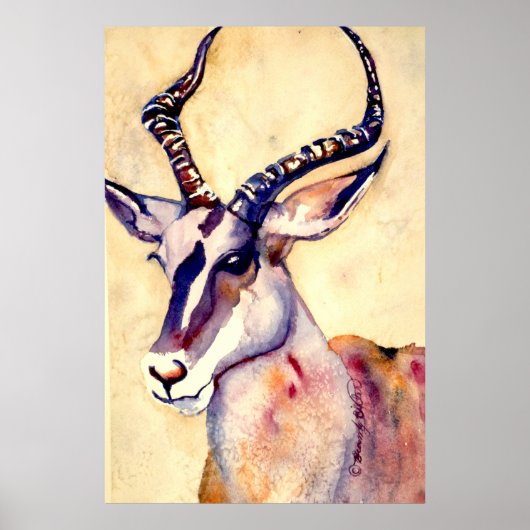 Poster Aquarelle Impala (Devant)