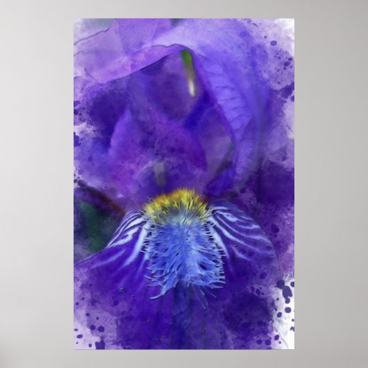 Poster Aquarelle Iris Flower Purple (Devant)