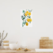 Poster aquarelle jaune citron (Cuisine)