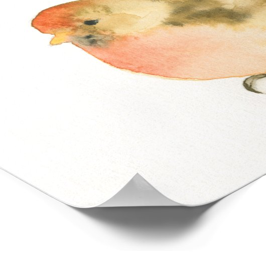 Poster Aquarelle jaune Oiseaux (Coin)