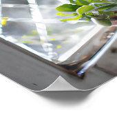 Poster Aquarelle Joli Plante dans la fenêtre (Coin)