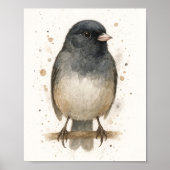 Poster Aquarelle Junco - Oiseaux boisés (Devant)