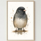 Poster Aquarelle Junco - Oiseaux boisés