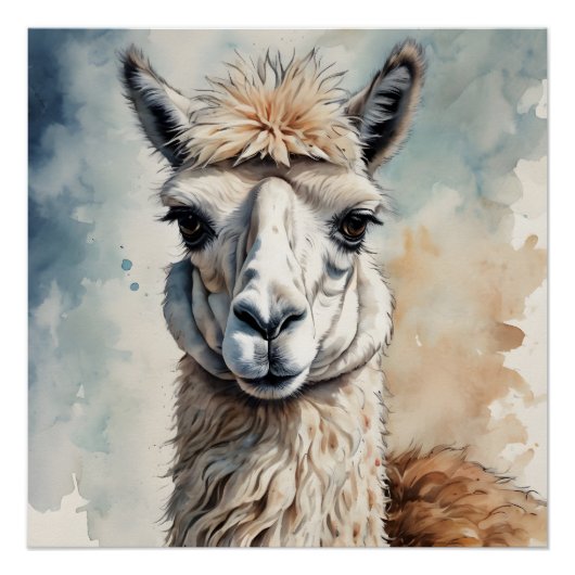 Poster Aquarelle Llama no 2 (Devant)