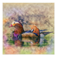Aquarelle Mandarin Canards Feng Shui Symbole