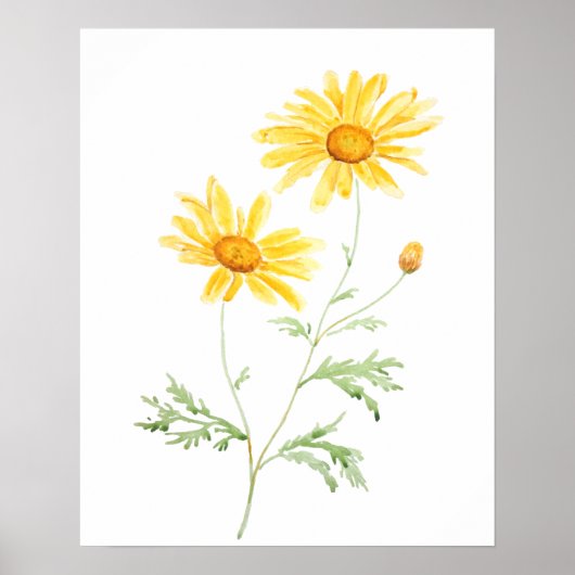 Poster Aquarelle marguerite jaune (Devant)