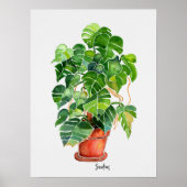 Poster Aquarelle Monstera Plante en pot (Devant)