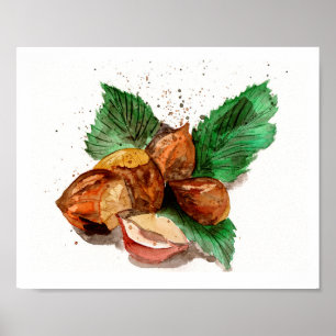 Poster Aquarelle noisettes