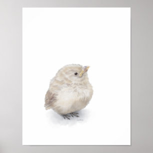 Poster Aquarelle numérique Baby Sparrow