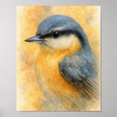Poster Aquarelle Nuthatch Portrait Art (Devant)