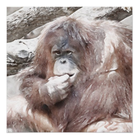 Poster Aquarelle Orang 2 (Devant)