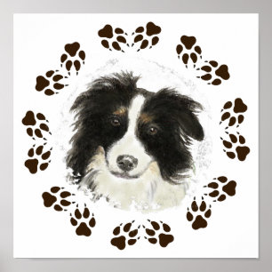 Poster Aquarelle originale Bordure Collie Chien animal