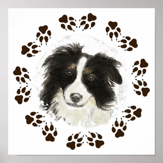 Poster Aquarelle originale Bordure Collie Chien animal (Devant)