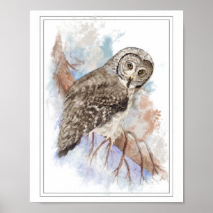 Poster Aquarelle originale Grande Chouette gris Oiseau