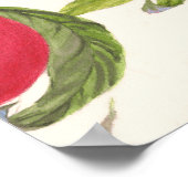 Poster Aquarelle pêche, motif floral transparent. (Coin)