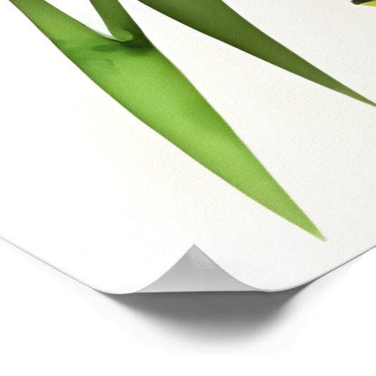 Poster Aquarelle Peinture De Bambou (Coin)