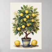 Poster Aquarelle Peinture de citron dans le point II (Devant)