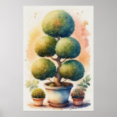Poster Aquarelle Peinture de l'arbre opiaire dans le poin (Devant)
