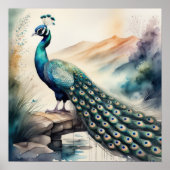 Poster Aquarelle Peinture de Peacock 1:1 (Devant)
