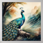 Poster Aquarelle Peinture de Peacock 1:1 (Devant)