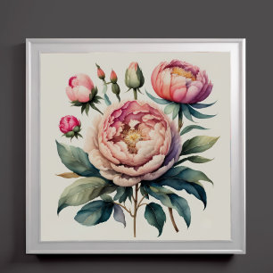 Poster Aquarelle Peinture de pivoines roses