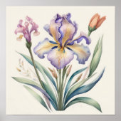Poster Aquarelle Peinture de pourpre Iris (Devant)