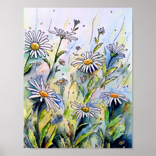 Poster Aquarelle Peinture des marguerites (Devant)