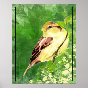 Poster Aquarelle Peinture d'Oiseau du Bruant dans l'arbre