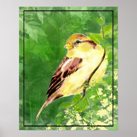 Poster Aquarelle Peinture d'Oiseau du Bruant dans l'arbre (Devant)