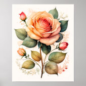 Poster Aquarelle Peinture d'un rose Rose (Devant)