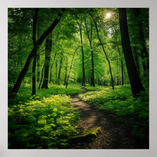 Poster Aquarelle Peinture d'une forêt d'été luxuriante (Devant)