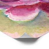 Poster Aquarelle Peony (Coin)