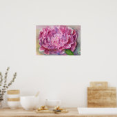 Poster Aquarelle Peony (Cuisine)