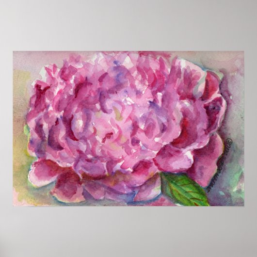 Poster Aquarelle Peony (Devant)