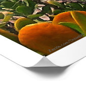 Poster Aquarelle Poésie de la mer des Caraïbes (Coin)