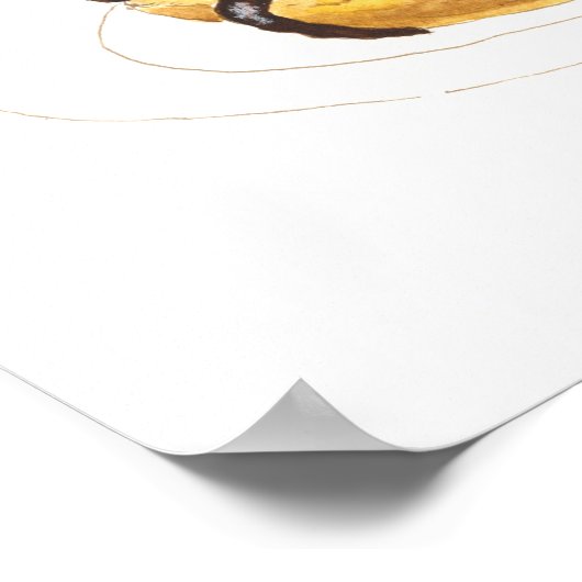 Poster Aquarelle profiterole (Coin)