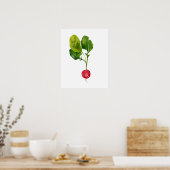 Poster Aquarelle Radis organique (Cuisine)