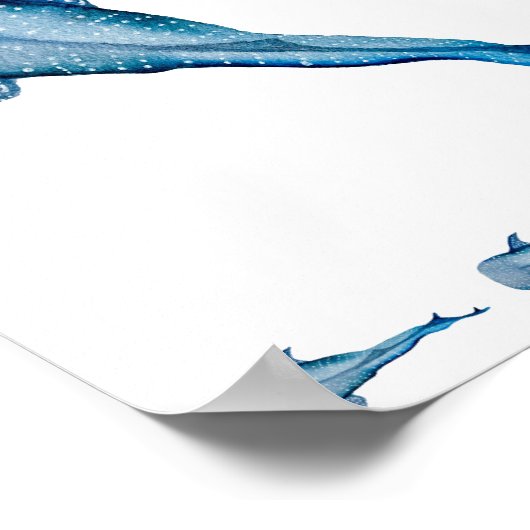 Poster Aquarelle requin (Coin)