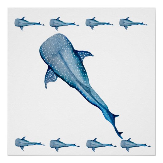 Poster Aquarelle requin (Devant)