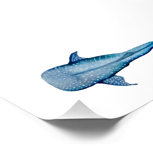 Poster Aquarelle requin (Coin)