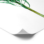 Poster Aquarelle rose Floral Art (Coin)