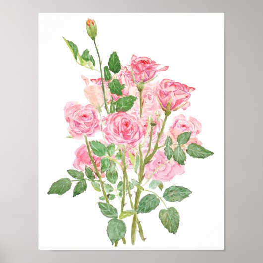 Poster aquarelle rose rose peinte à la main (Devant)