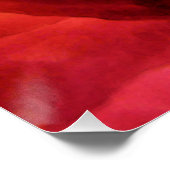 Poster Aquarelle Rose rouge et jaune fière (Coin)