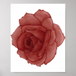 Poster Aquarelle rose rouge face à gauche