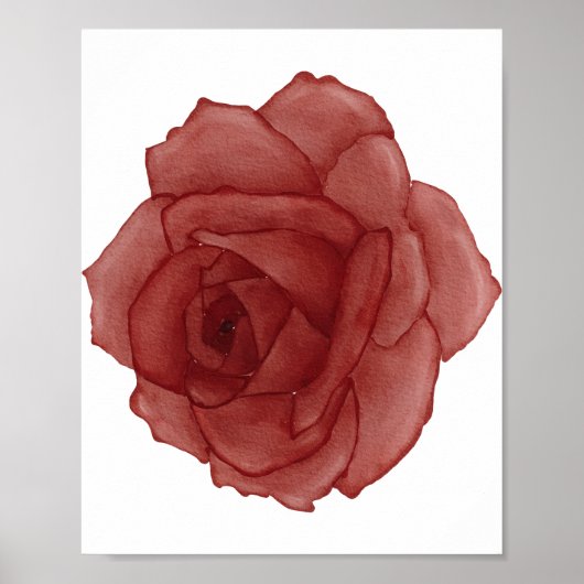 Poster Aquarelle rose rouge face à gauche (Devant)