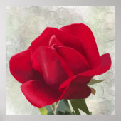 Poster Aquarelle rouge (Devant)