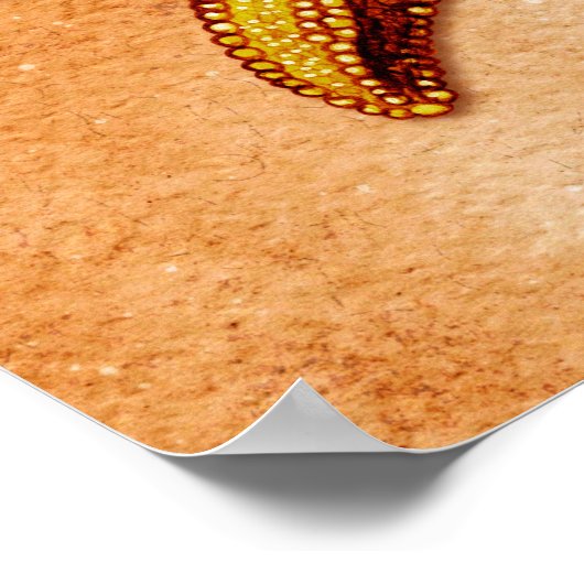 Poster Aquarelle Starfish sur la plage (Coin)