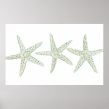 Aquarelle Starfish Trio