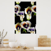 Poster Aquarelle Sublime Arum Calla Lilies (Cuisine)