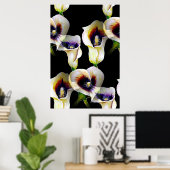 Poster Aquarelle Sublime Arum Calla Lilies (Bureau à domicile)